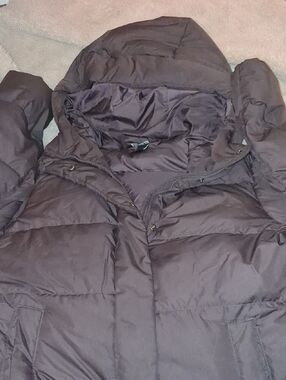 Eddie Bauer Women's Quilted Jacket in Deep Purple